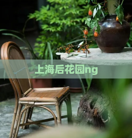 上海后花园ng  第1张