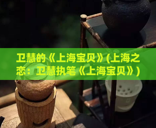 卫慧的《上海宝贝》(上海之恋：卫慧执笔《上海宝贝》)  第1张