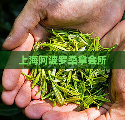 上海阿波罗桑拿会所  第1张