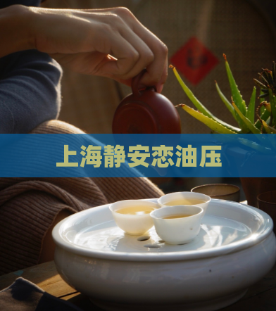 上海静安恋油压  第1张