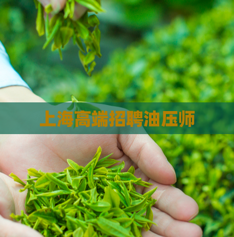 上海高端招聘油压师  第1张