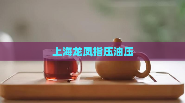 上海龙凤指压油压  第1张