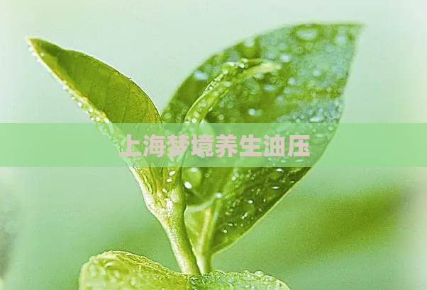 上海梦境养生油压  第1张