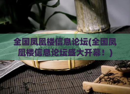 全国凤凰楼信息论坛(全国凤凰楼信息论坛盛大开幕！)  第1张