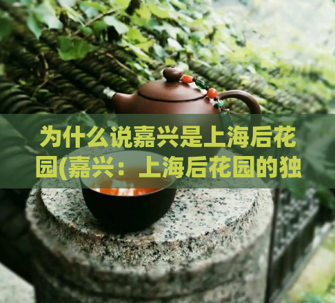 为什么说嘉兴是上海后花园(嘉兴：上海后花园的独特风情)  第1张