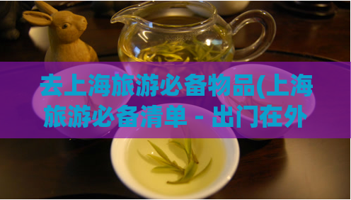 去上海旅游必备物品(上海旅游必备清单 - 出门在外必带的物品！)  第1张