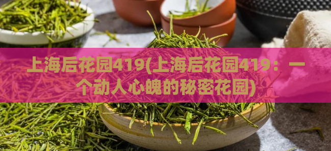 上海后花园419(上海后花园419：一个动人心魄的秘密花园)  第1张