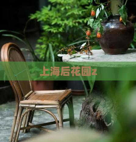 上海后花园z  第1张