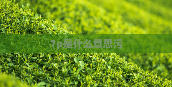 7p是什么意思污  第1张