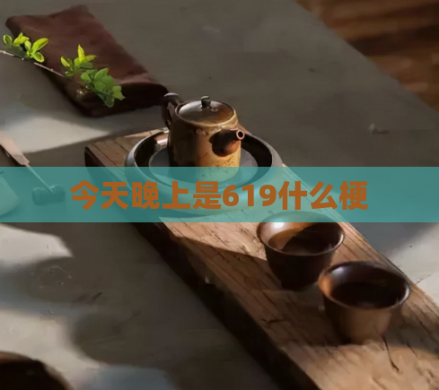 今天晚上是619什么梗  第1张