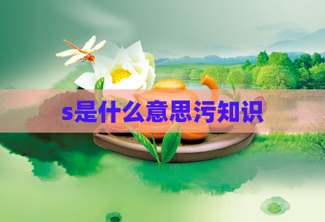 s是什么意思污知识  第1张