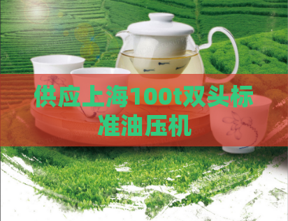 供应上海100t双头标准油压机  第1张