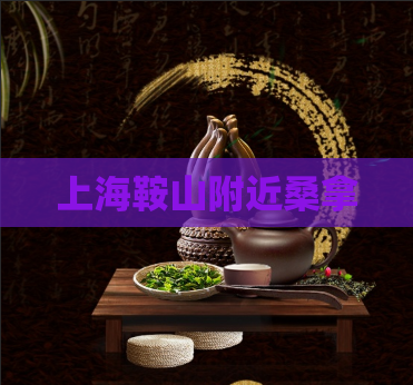 上海鞍山附近桑拿  第1张