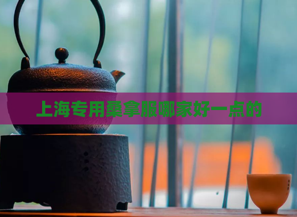 上海专用桑拿服哪家好一点的  第1张