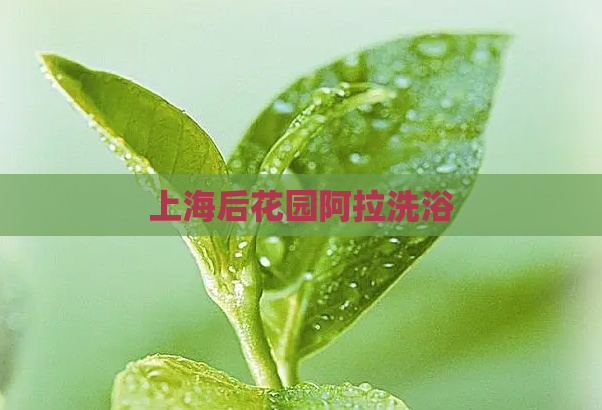 上海后花园阿拉洗浴 第1张 上海后花园阿拉洗浴 第1张
