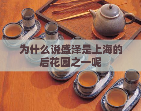 为什么说盛泽是上海的后花园之一呢  第1张