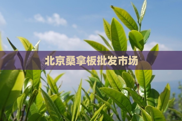 北京桑拿板批发市场  第1张