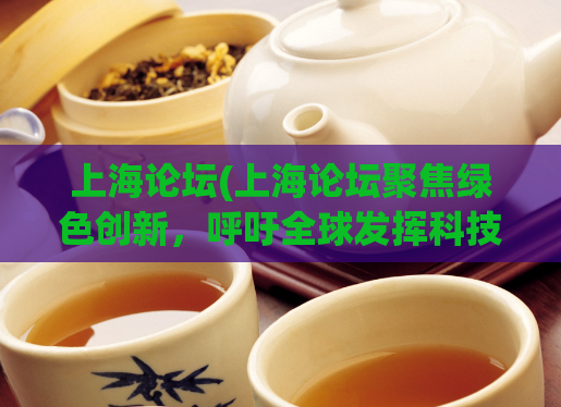 上海论坛(上海论坛聚焦绿色创新，呼吁全球发挥科技创新力量创造可持续发展的未来。)  第1张
