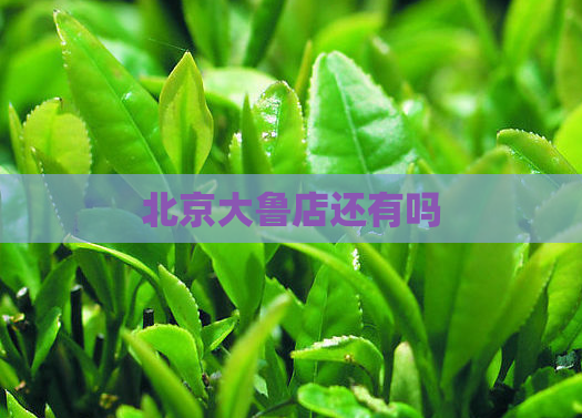 北京大鲁店还有吗  第1张