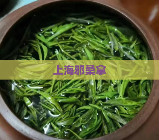 上海邪桑拿  第1张