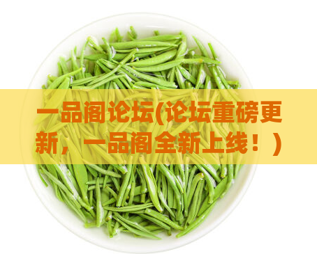 一品阁论坛(论坛重磅更新，一品阁全新上线！)  第1张