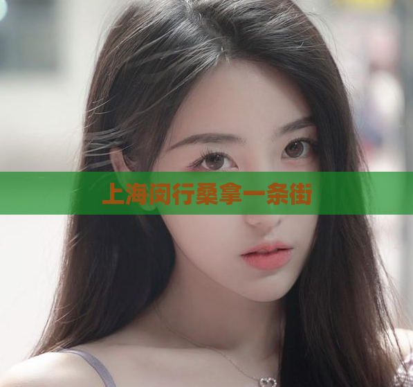 上海闵行桑拿一条街  第1张