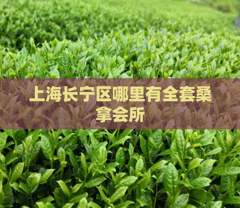 上海长宁区哪里有全套桑拿会所  第1张