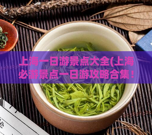 上海一日游景点大全(上海必游景点一日游攻略合集！)  第1张