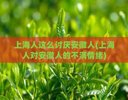 上海人这么讨厌安徽人(上海人对安徽人的不满情绪) 第1张 上海人这么讨厌安徽人(上海人对安徽人的不满情绪) 第1张