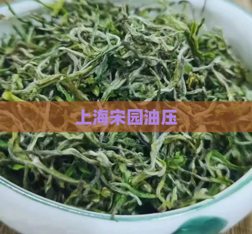 上海宋园油压  第1张