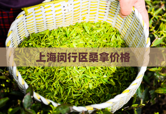 上海闵行区桑拿价格  第1张