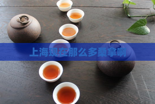 上海现在那么多桑拿啊 第1张 上海现在那么多桑拿啊 第1张