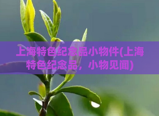 上海特色纪念品小物件(上海特色纪念品,小物见闻) 第1张 上海特色纪念品小物件(上海特色纪念品,小物见闻) 第1张