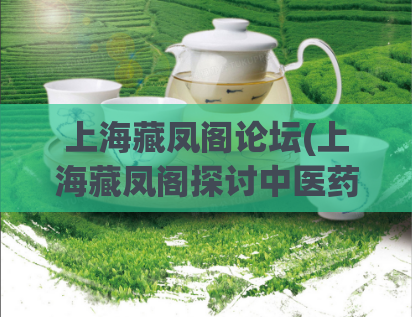 上海藏凤阁论坛(上海藏凤阁探讨中医药创新与发展) 第1张 上海藏凤阁论坛(上海藏凤阁探讨中医药创新与发展) 第1张