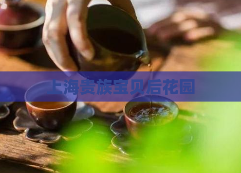 上海贵族宝贝后花园 第1张 上海贵族宝贝后花园 第1张