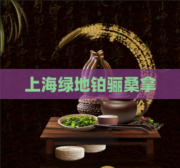 上海绿地铂骊桑拿 第1张 上海绿地铂骊桑拿 第1张