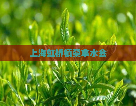 上海虹桥镇桑拿水会 第1张 上海虹桥镇桑拿水会 第1张