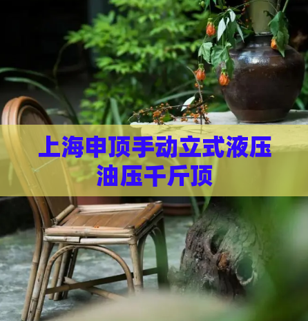 上海申顶手动立式液压油压千斤顶  第1张