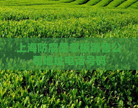 上海防腐桑拿板销售公司地址电话号码  第1张