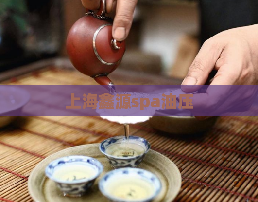 上海鑫源spa油压  第1张