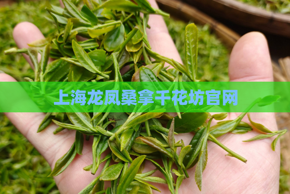 上海龙凤桑拿千花坊官网  第1张