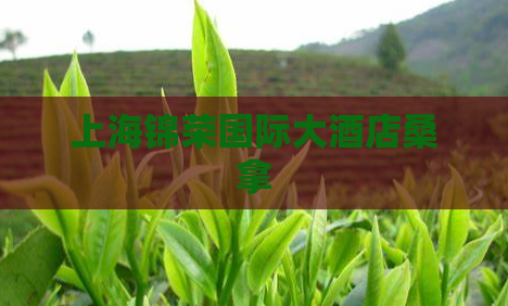 上海锦荣国际大酒店桑拿  第1张