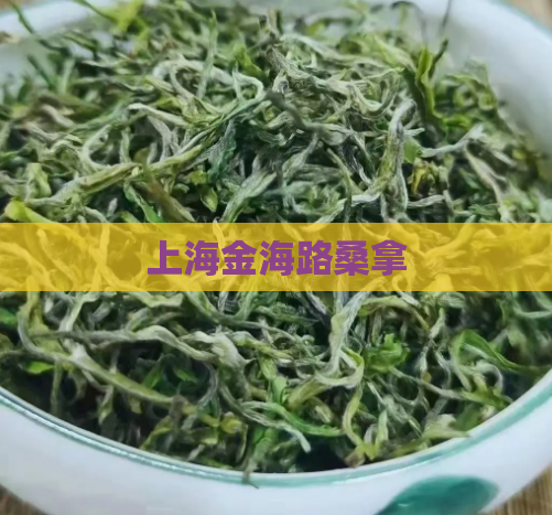 上海金海路桑拿 第1张 上海金海路桑拿 第1张