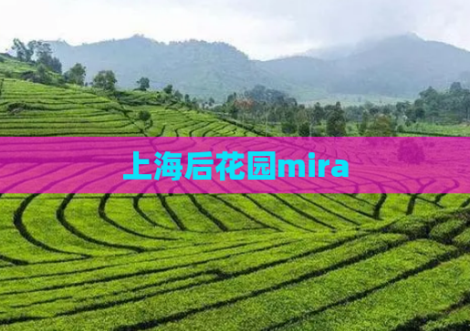上海后花园mira  第1张