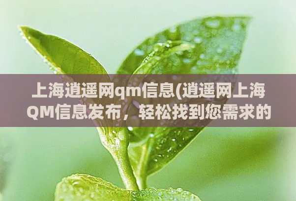 上海逍遥网qm信息(逍遥网上海QM信息发布,轻松找到您需求的信息)  第1张 上海逍遥网qm信息(逍遥网上海QM信息发布,轻松找到您需求的信息)  第1张