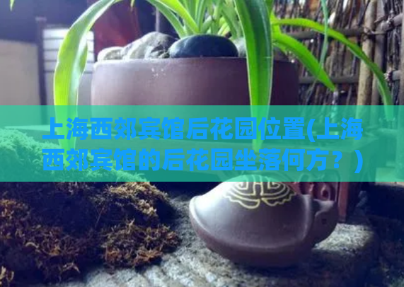 上海西郊宾馆后花园位置(上海西郊宾馆的后花园坐落何方？)  第1张