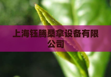 上海钰腾桑拿设备有限公司  第1张