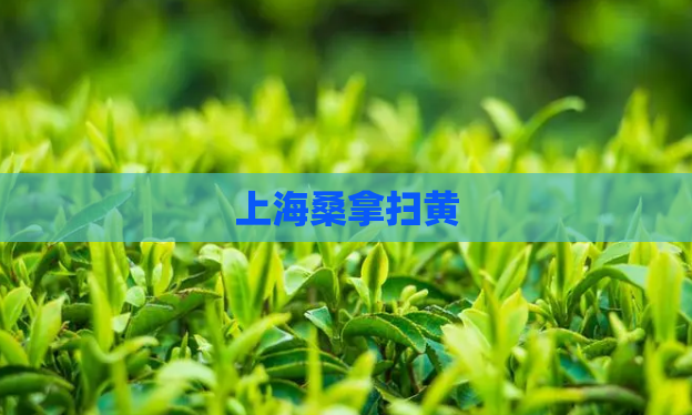 上海桑拿扫黄  第1张