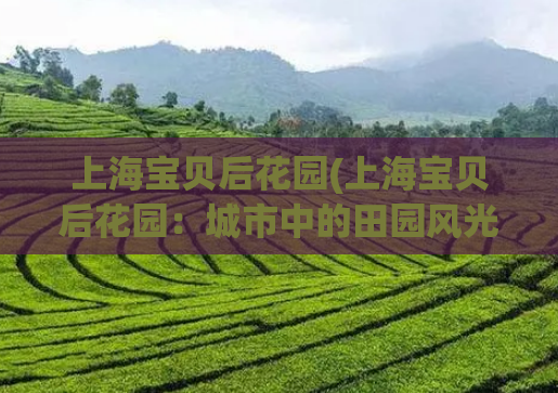 上海宝贝后花园(上海宝贝后花园:城市中的田园风光) 第1张 上海宝贝后花园(上海宝贝后花园:城市中的田园风光) 第1张