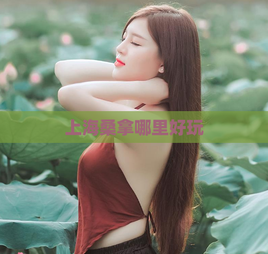 上海桑拿哪里好玩  第1张